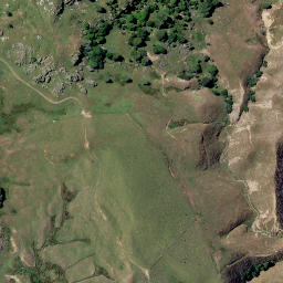 Satellite imagery of Putataka Point, NZ