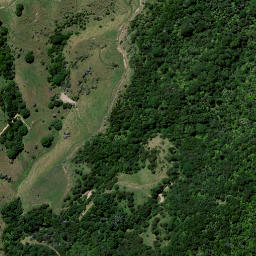 Satellite imagery of Taniwha Quarry, NZ