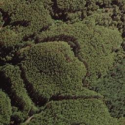 Satellite imagery of Cerro Mundo Nuevo, CL