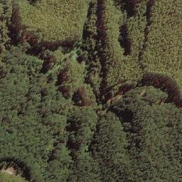 Satellite imagery of Cerro Mundo Nuevo, CL