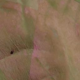 Satellite imagery of Mount Challicum, AU