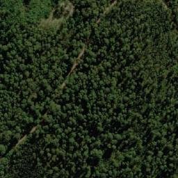 Satellite imagery of Wallaby Lookout, AU