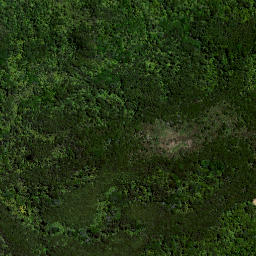 Satellite imagery of 71 (Maioro SD), NZ