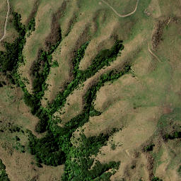 Satellite imagery of PUTATAKA, NZ