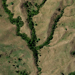 Satellite imagery of PUTATAKA, NZ