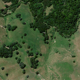Satellite imagery of Taniwha Quarry, NZ