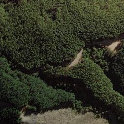 Satellite imagery of Cerro Mundo Nuevo, CL