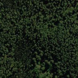 Satellite imagery of Wallaby Lookout, AU