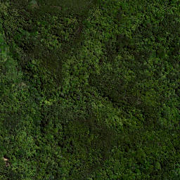 Satellite imagery of 71 (Maioro SD), NZ