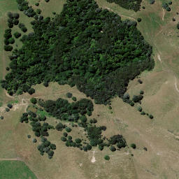 Satellite imagery of Taniwha Quarry, NZ
