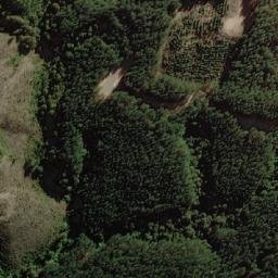 Satellite imagery of Cerro Mundo Nuevo, CL