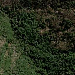 Satellite imagery of Cerro Los Lobos, CL