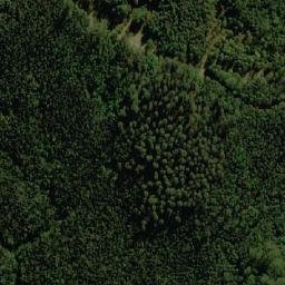 Satellite imagery of Dry Hills, AU