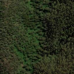 Satellite imagery of Georgie, AU