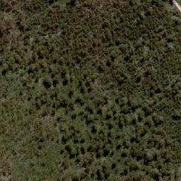 Satellite imagery of Mount Arbuckle, AU