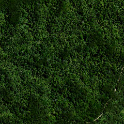 Satellite imagery of 64 TETEHE, NZ