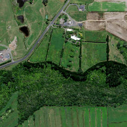 Satellite imagery of Rangiriri Pa, NZ