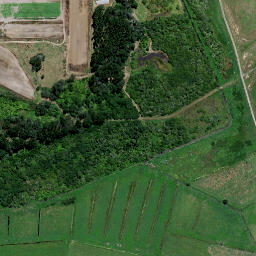Satellite imagery of Rangiriri Pa, NZ