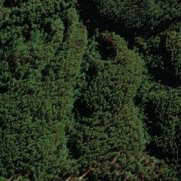 Satellite imagery of Cerro Retumbador, CL