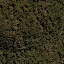 Satellite imagery of Dingo Hill, AU