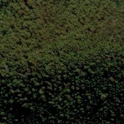 Satellite imagery of Cann Mountain, AU