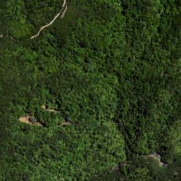 Satellite imagery of 60 NIHONUI, NZ