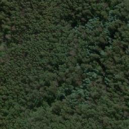 Satellite imagery of Cut Tail Hill, AU