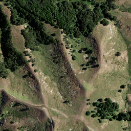 Satellite imagery of 72 (Awaroa SD), NZ