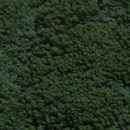 Satellite imagery of Cut Tail Hill, AU