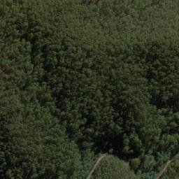 Satellite imagery of Rose Of Denmark, AU