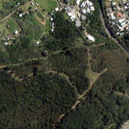 Satellite imagery of Papatu Point, NZ