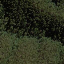 Satellite imagery of Rose Of Denmark, AU
