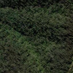 Satellite imagery of Bee Tree Hill, AU