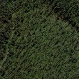 Satellite imagery of Bee Tree Hill, AU