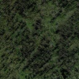 Satellite imagery of Bee Tree Hill, AU