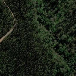 Satellite imagery of Mount Future, AU