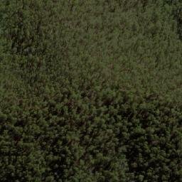 Satellite imagery of Rose Of Denmark, AU