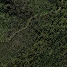 Satellite imagery of Bee Tree Hill, AU