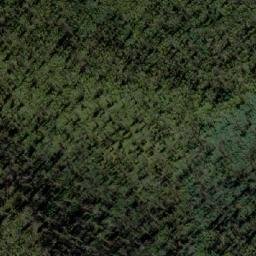 Satellite imagery of Bee Tree Hill, AU