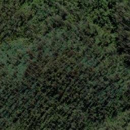 Satellite imagery of Bee Tree Hill, AU