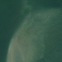 Satellite imagery of Papatu Point, NZ