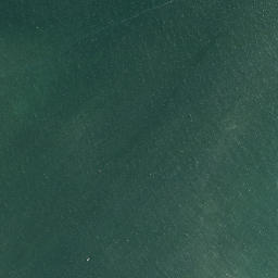 Satellite imagery of Papatu Point, NZ