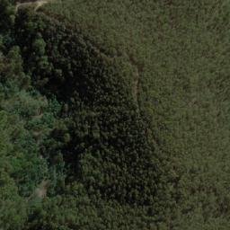 Satellite imagery of Dempsey, AU
