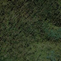 Satellite imagery of Bee Tree Hill, AU