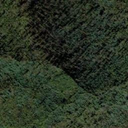 Satellite imagery of Bee Tree Hill, AU