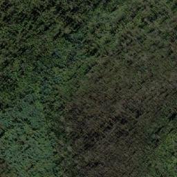 Satellite imagery of Bee Tree Hill, AU