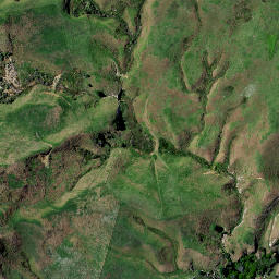 Satellite imagery of 76E NO 2, NZ