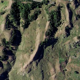 Satellite imagery of 2064, NZ