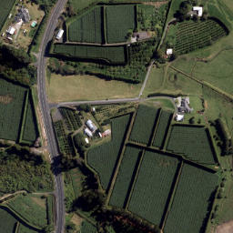 Satellite imagery of Tanners Point, NZ