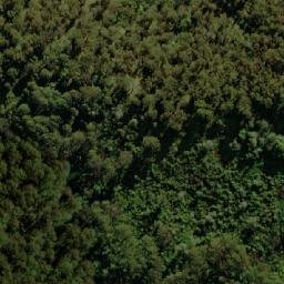 Satellite imagery of Mount Elizabeth, AU